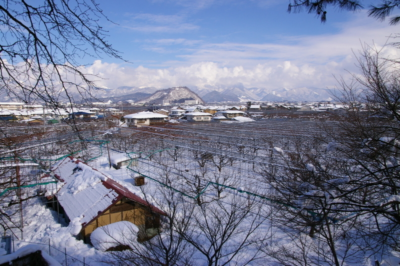 赤い屋根のある風景