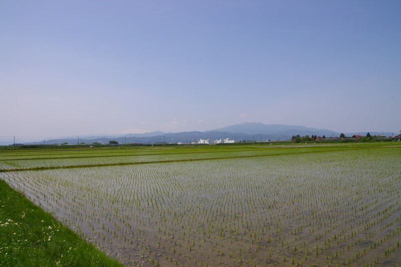 天童市　田んぼから眺めた月山と葉山