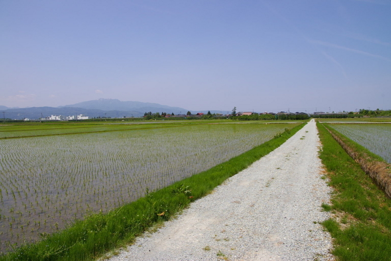 Imgp18140531 天童市 田んぼから眺めた月山と葉山