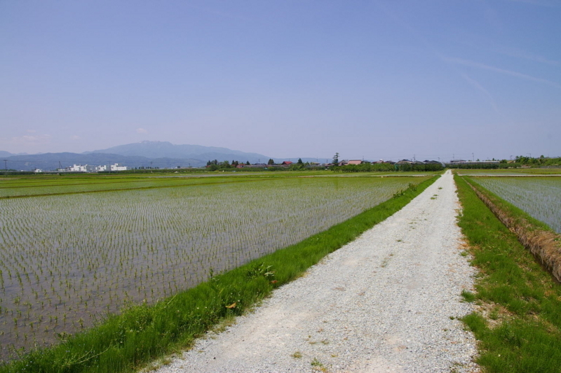 天童市　田んぼから眺めた月山と葉山