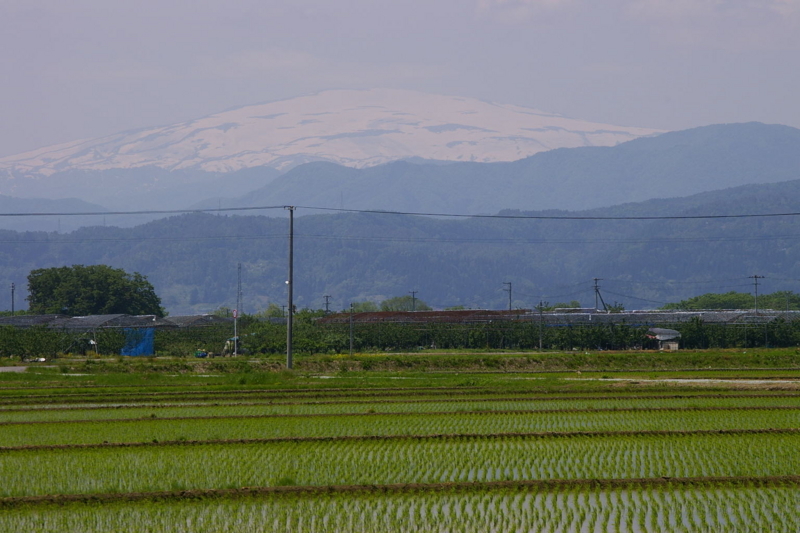 天童市　田んぼから眺めた月山と葉山