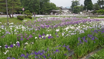 Imgp26100703 Imgp26100703