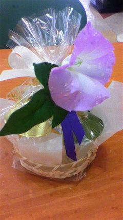2011072812090000_org 朝顔