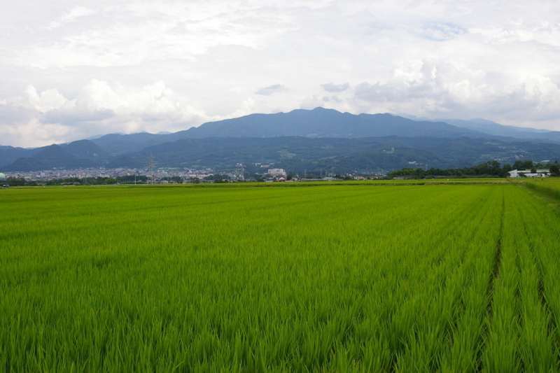 山形市から眺める蔵王