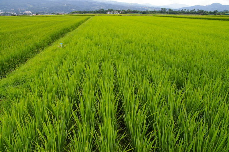 山形市から眺める蔵王