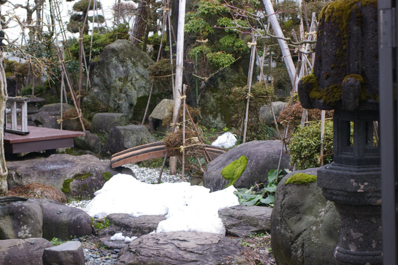 Imgp36470403 我家の庭全景