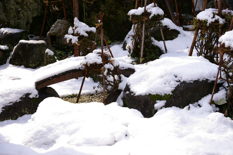 ４月の春の淡雪が降りました