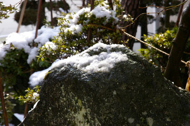 ４月の雪の風景