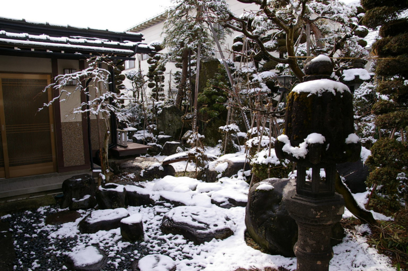 我が家の庭　雪降りの朝