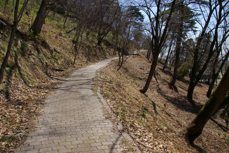 早春の若木山