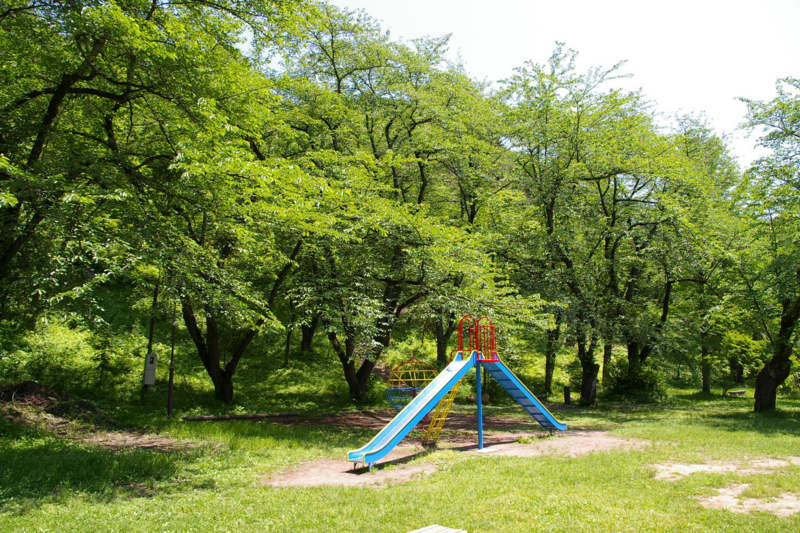 Imgp43770531 若木山公園
