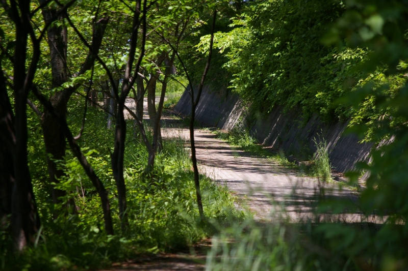 若木山を昇る道