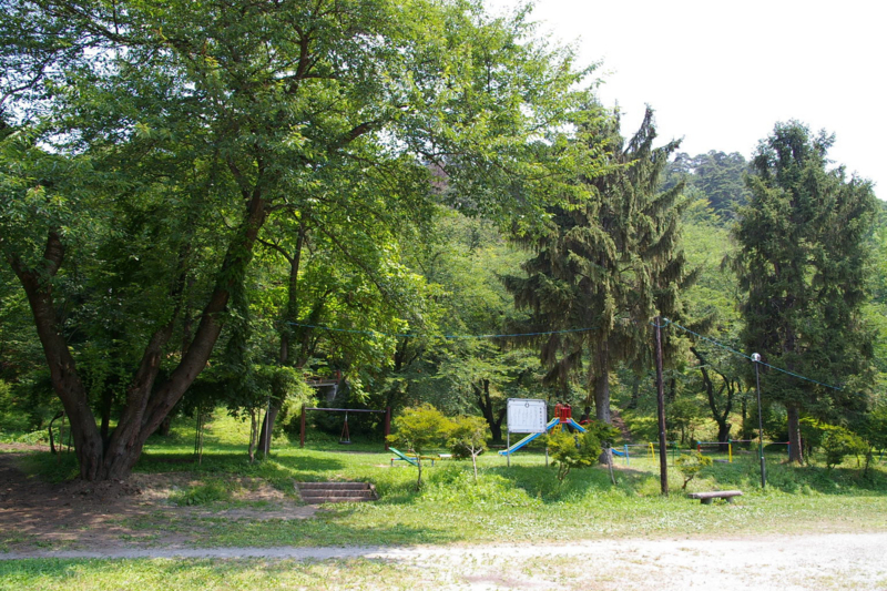 緑の若木山公園