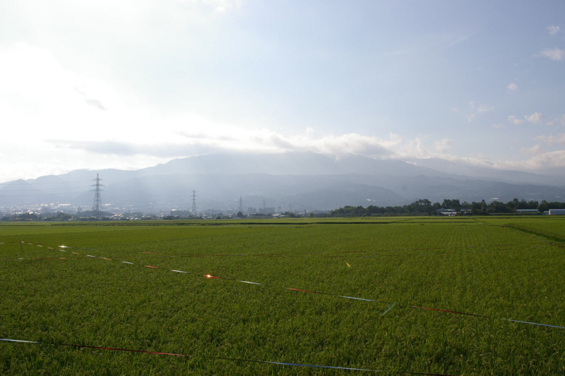 山形市　蔵王の朝焼け