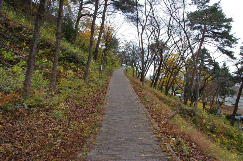 １１月の秋深まる若木山を登りました