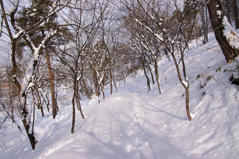 冬の若木山を登りました