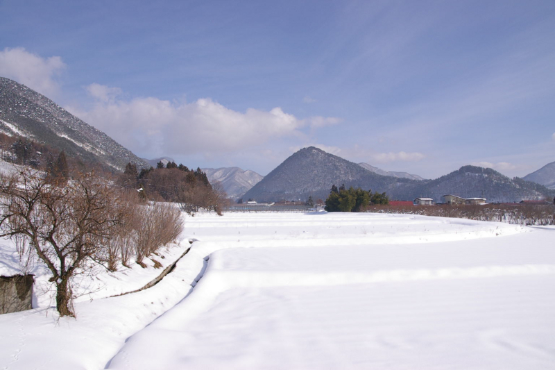 東根市観音寺の雪原、雪景色