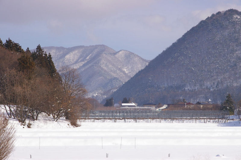 東根市観音寺の雪原、雪景色