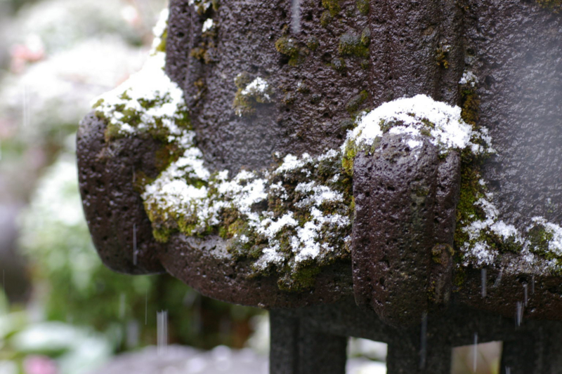 ４月の春の淡雪