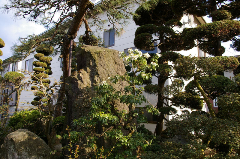 馬酔木の花"