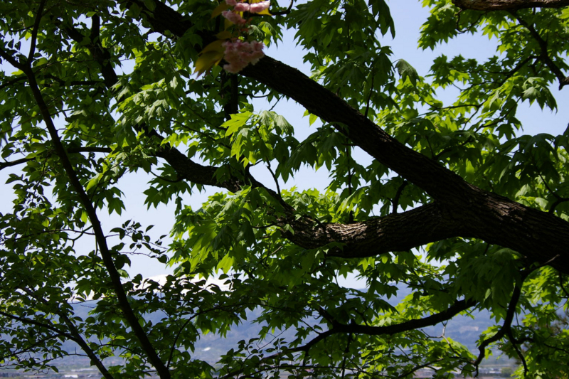 Imgp69290517 Imgp69290517