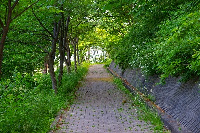 栗の花も匂う季節になりました。