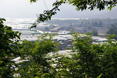 さくらんぼテントハウスがキラキラしている神町