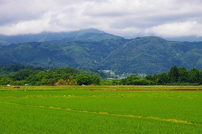 村山市　母なる葉山を眺めます