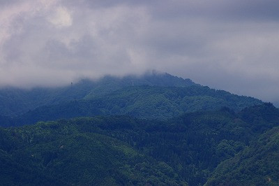 そして葉山は雲隠れ