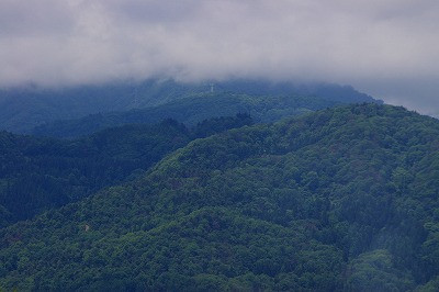 葉山は雲隠れ