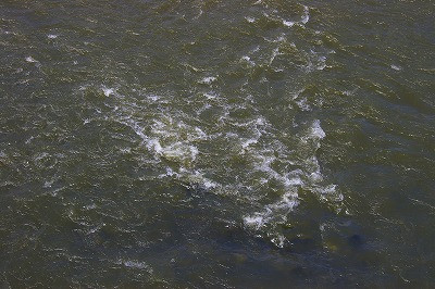 Imgp71880616 最上川の流れ