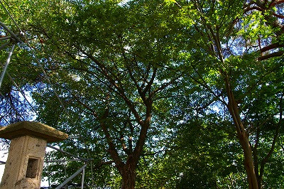Imgp76190906 Imgp76190906