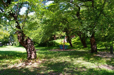 Imgp77050906 Imgp77050906