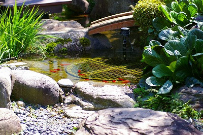 Imgp77540919 Imgp77540919