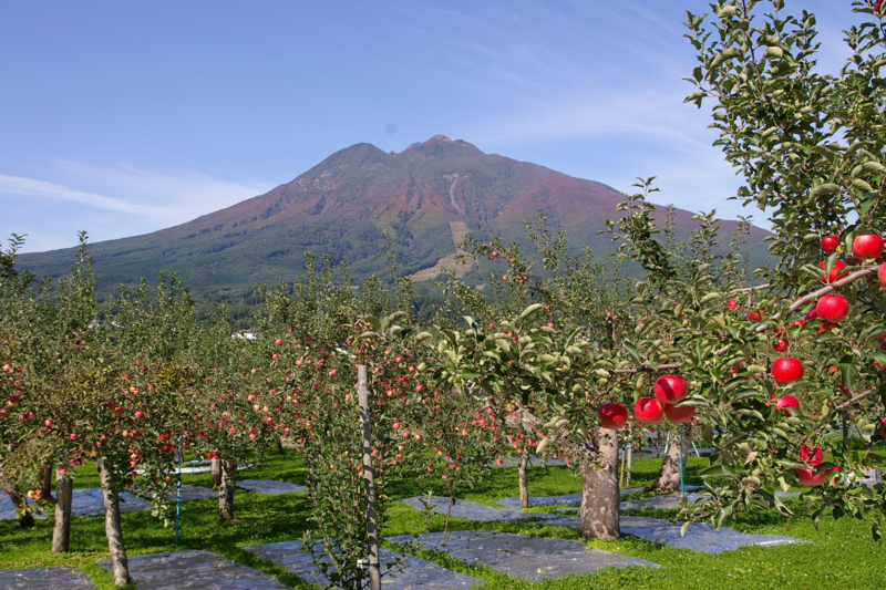 アップルロードから岩木山