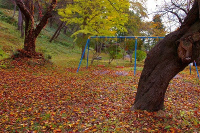 落ち葉の若木山