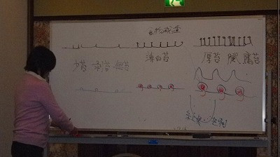Imgp68901124 舌診の勉強