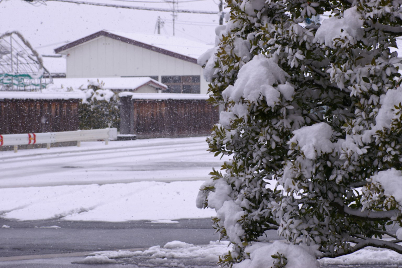 Imgp88550308 土屋薬局駐車場の雪景色