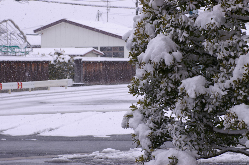 土屋薬局駐車場の雪景色