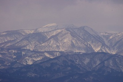 葉山です