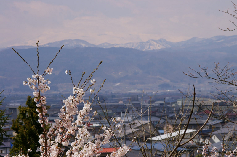 月山と桜