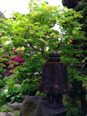 Img_05880515 Img_05880515
