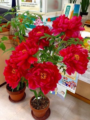 Img_05890515 Img_05890515