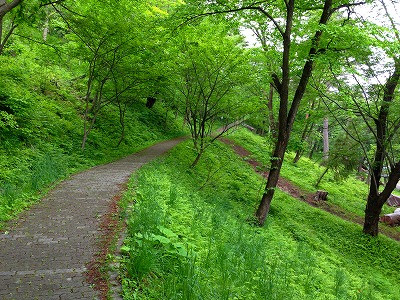 Img_06880523 Img_06880523