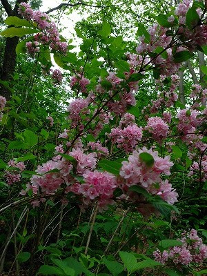 Img_06920523 Img_06920523