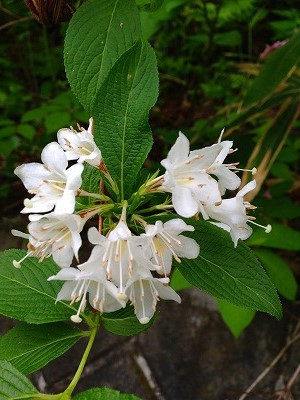 Img_06960523 Img_06960523