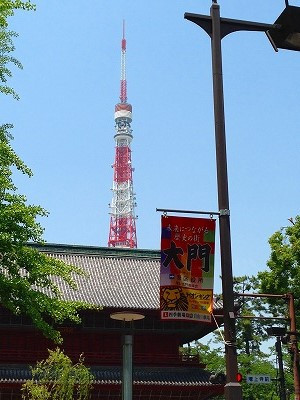 Img_08180531 気分的には徒歩ですから江戸時代の人と同じ体験をしている感じになります。