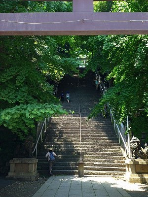 Img_08290531 Img_08290531