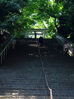 Img_08330531 Img_08330531