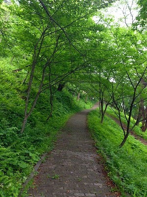 Img_09630610 Img_09630610